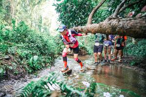 BIB: 
                            <button type="button" onclick="openModal(25517451)" class="btn btn-primary btn-sm float-right btn-popup" data-toggle="modal" data-target=".modal-high-quality">
                        <i class="fas fa-shopping-cart"></i> Add to Cart
                    </button>
                                            <button type="button" onclick="isThisMe(25517451, true)" class="btn btn-success btn-sm float-right btn-popup btn-isme hidden" data-toggle="tooltip" data-placement="bottom" title="นี่คือรูปของคุณใช่ไหม คลิกที่นี่เพื่อเอาเข้าอัลบั้ม">
                        <i class="fas fa-plus"></i> Add to album
                    </button>
                    <button type="button" onclick="isThisMe(25517451, false)" class="btn btn-warning btn-sm float-right btn-popup btn-isnotme hidden">
                        <i class="fas fa-ban"></i> Remove from album
                    </button>